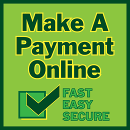 Make a payment